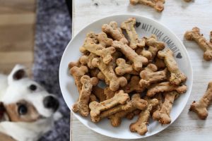 Pawsitively Calm: The Soothing Effects of CBD Treats for Dogs”